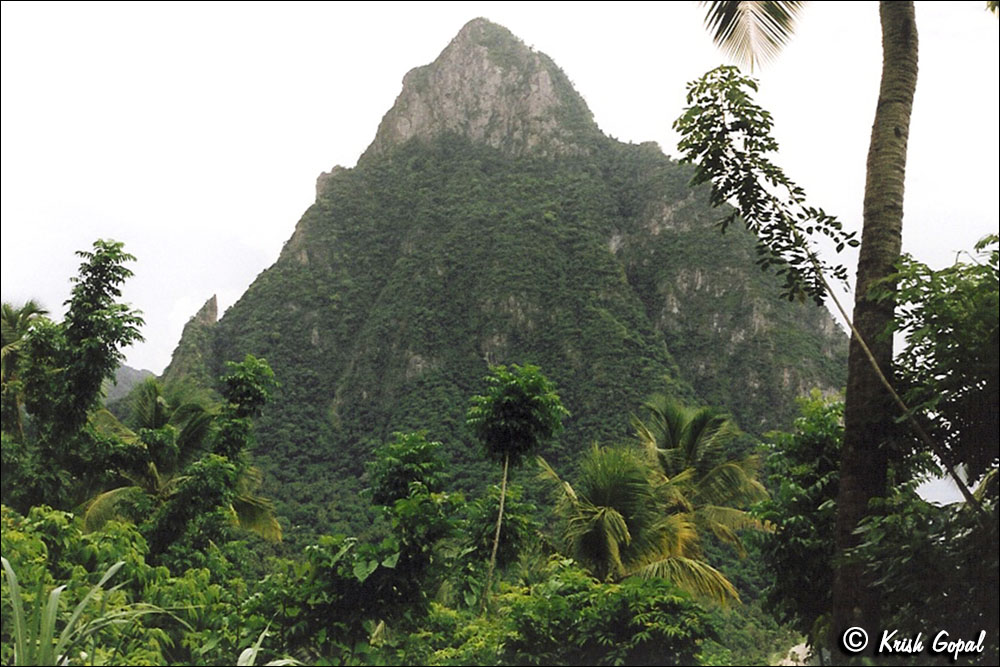 stlucia06