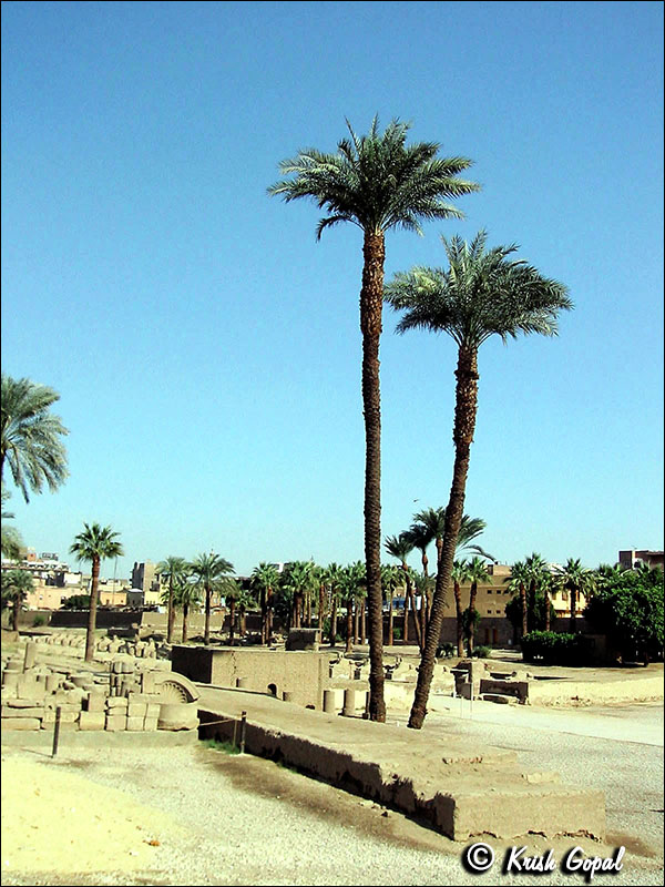 138-3822_Luxor