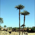 138-3822_Luxor.jpg