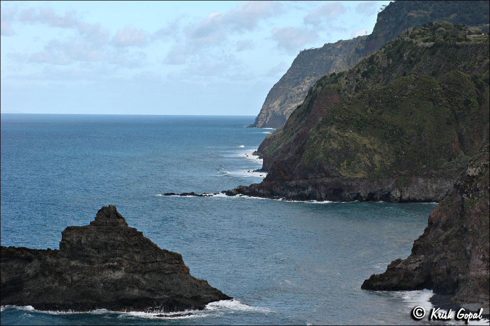 DSC_0442