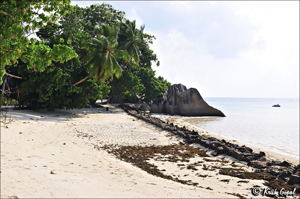 La-Digue-2017-03-06-050