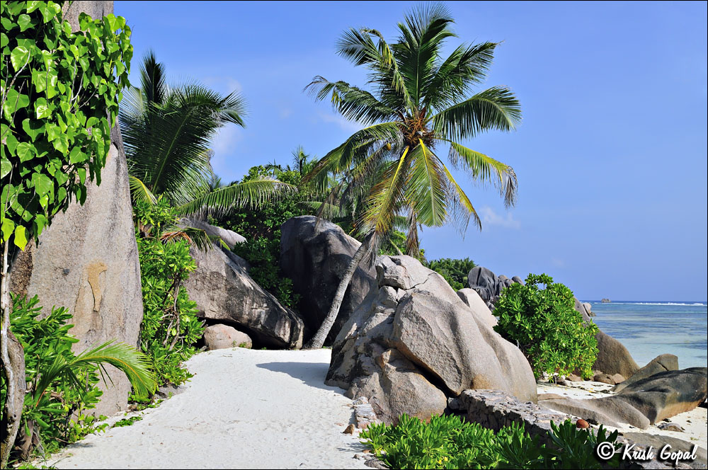 La-Digue-2017-03-06-055