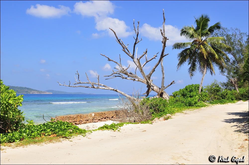 La-Digue-2017-03-07-187