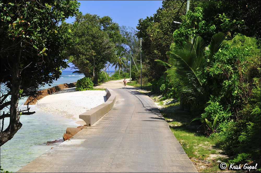 La-Digue-2017-03-07-188