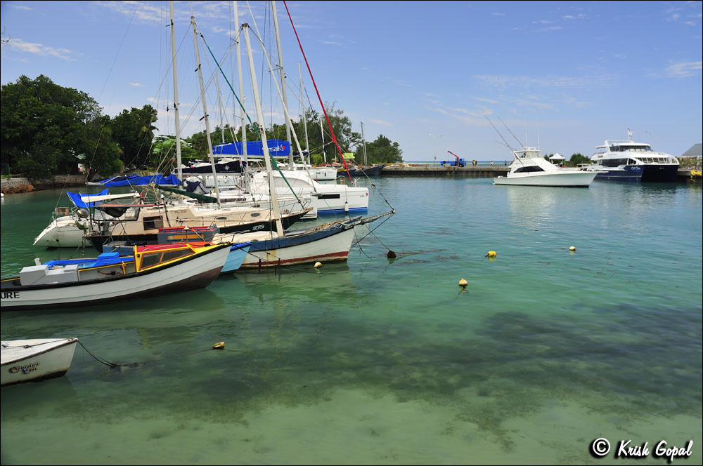 La-Digue-2017-03-08-019