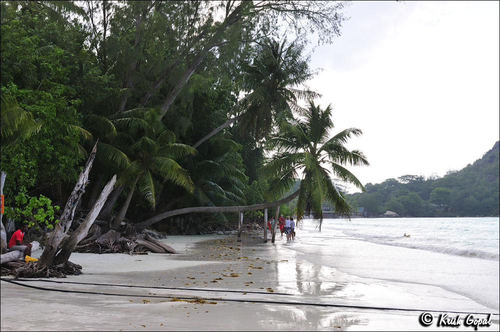 Praslin-2017-03-04-204