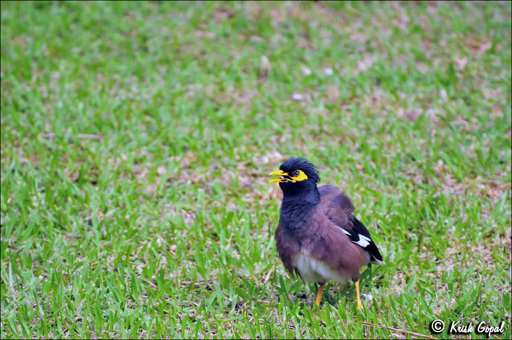 Praslin-2017-03-05-048