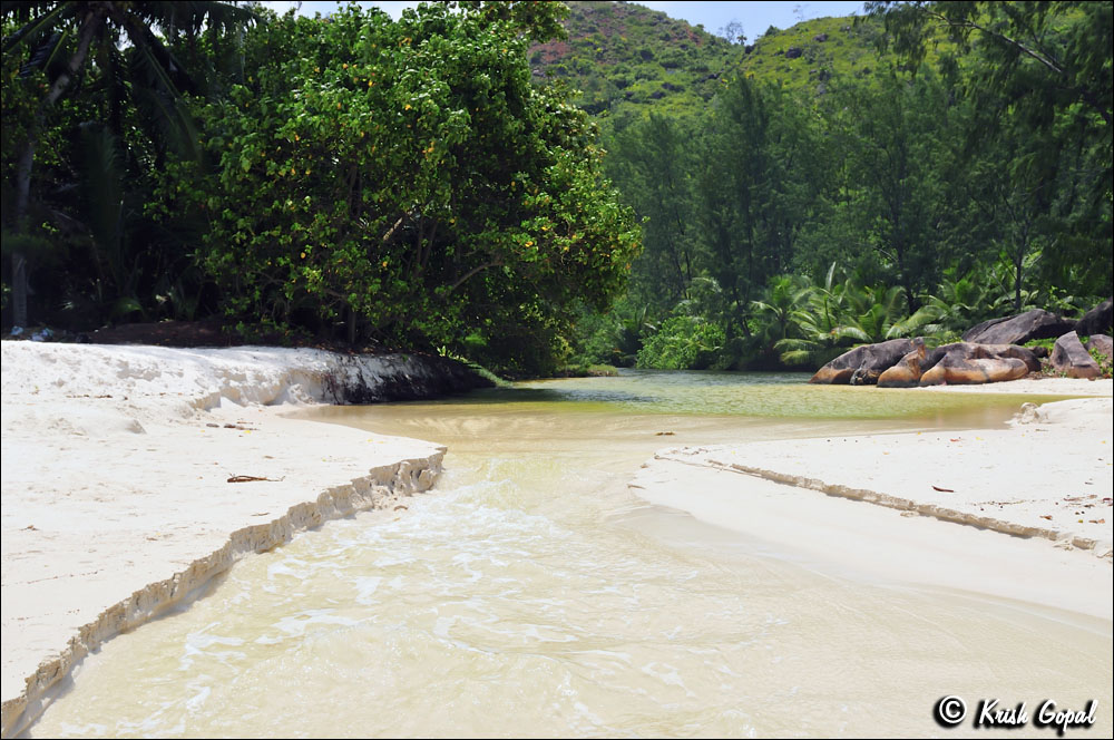 Praslin-2017-03-05-236