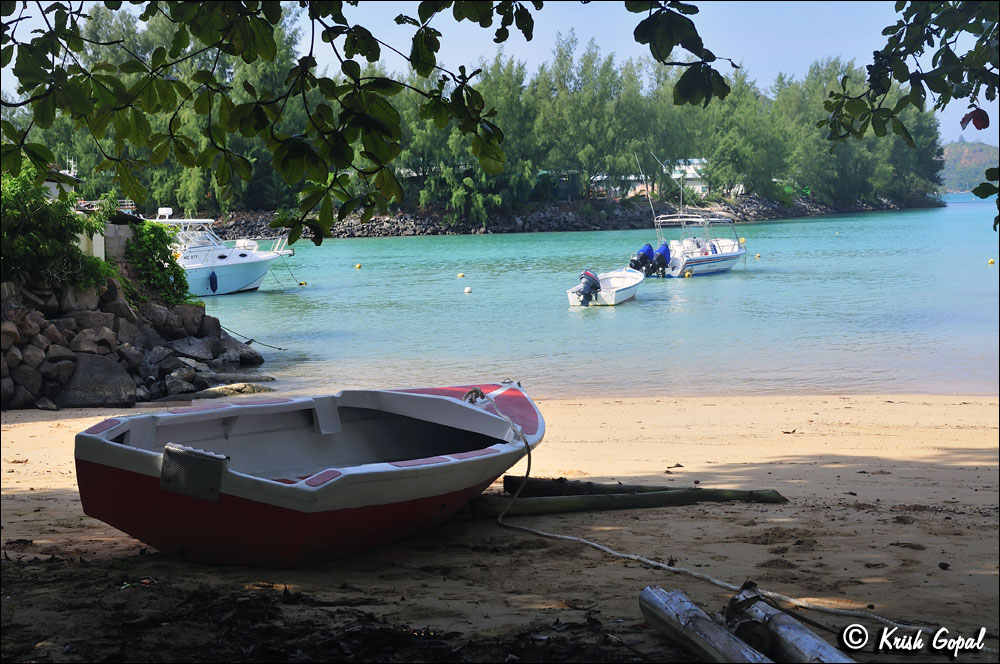 Praslin-2017-03-05-343