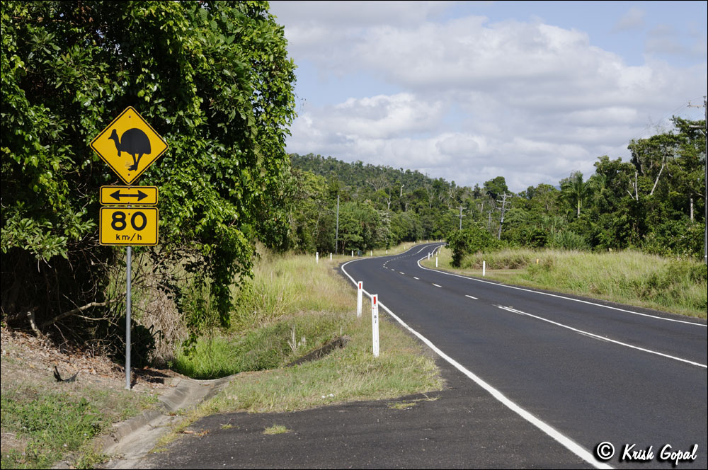 AUS_2371