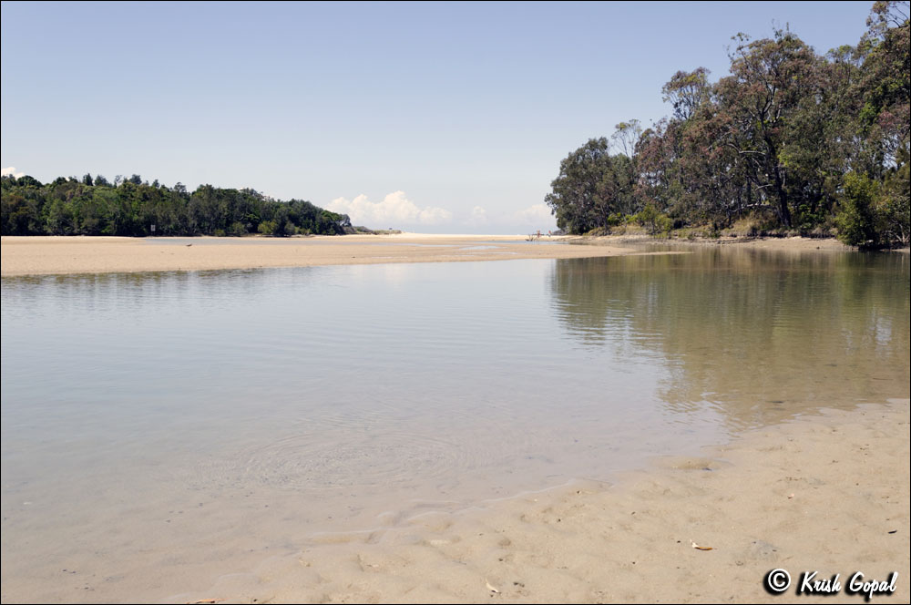 AUS_1395
