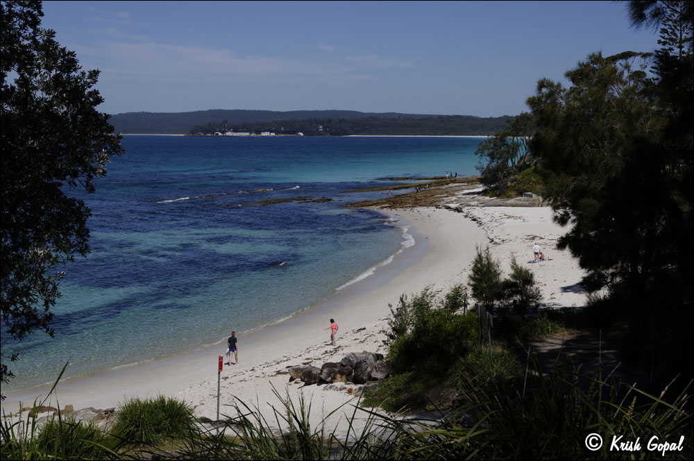 AUS_0782