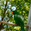 AUS_2782.jpg