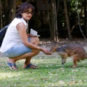 AUS_2944.jpg