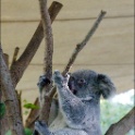 AUS_2959.jpg