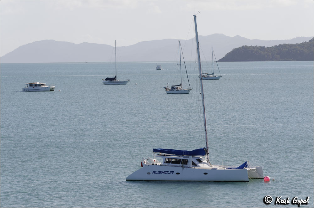 AUS_2260