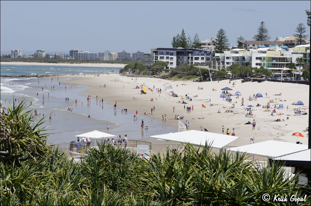 AUS_1781