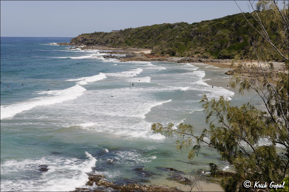 AUS_1799