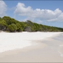 AUS_2153.jpg