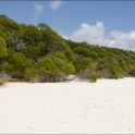 AUS_2164.jpg