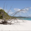 AUS_2175.jpg