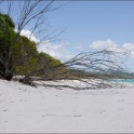 AUS_2180.jpg