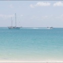 AUS_2183.jpg