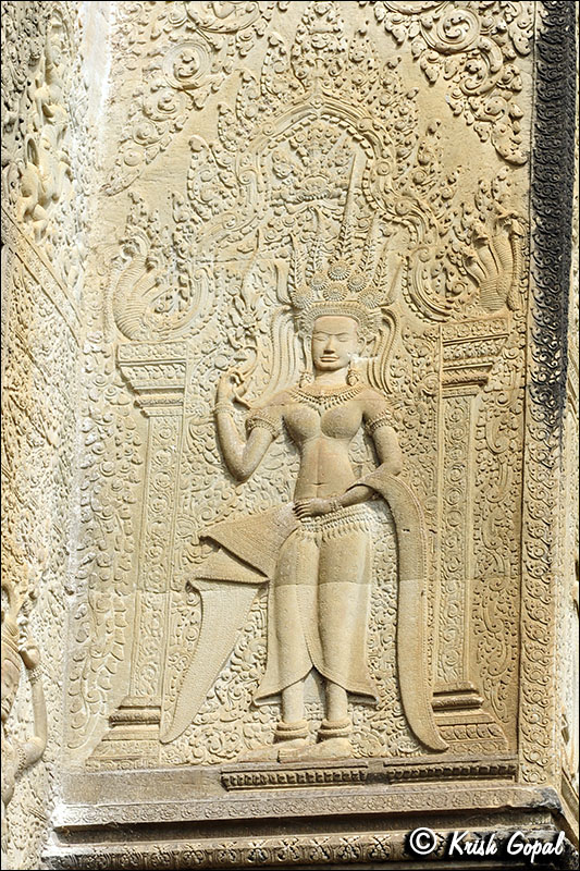 DSC_7236