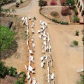 145-4573_IMG.jpg
