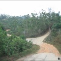 145-4596_IMG.jpg