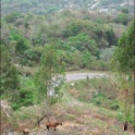 146-4605_IMG.jpg