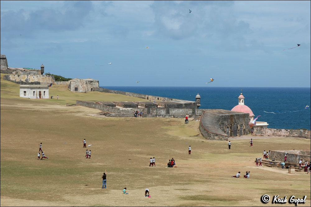 DSC_9250