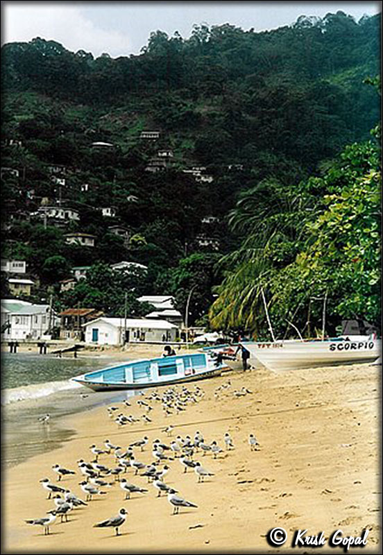 photo44
