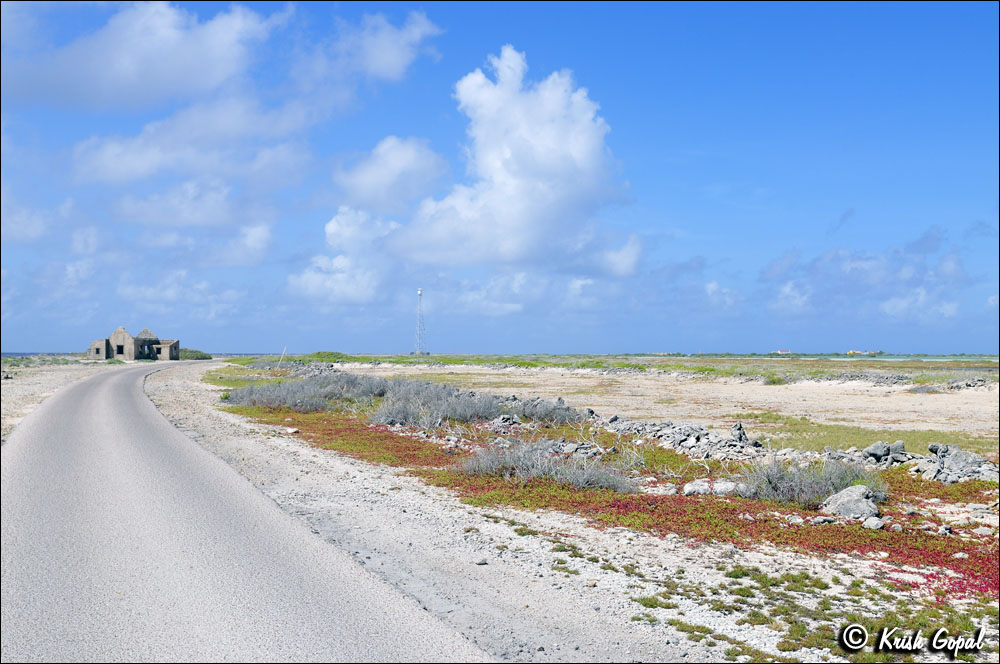 CR2017-146