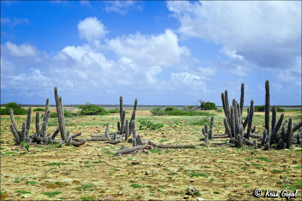 CR2017-193
