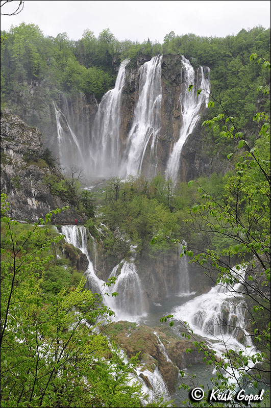 KRO_194