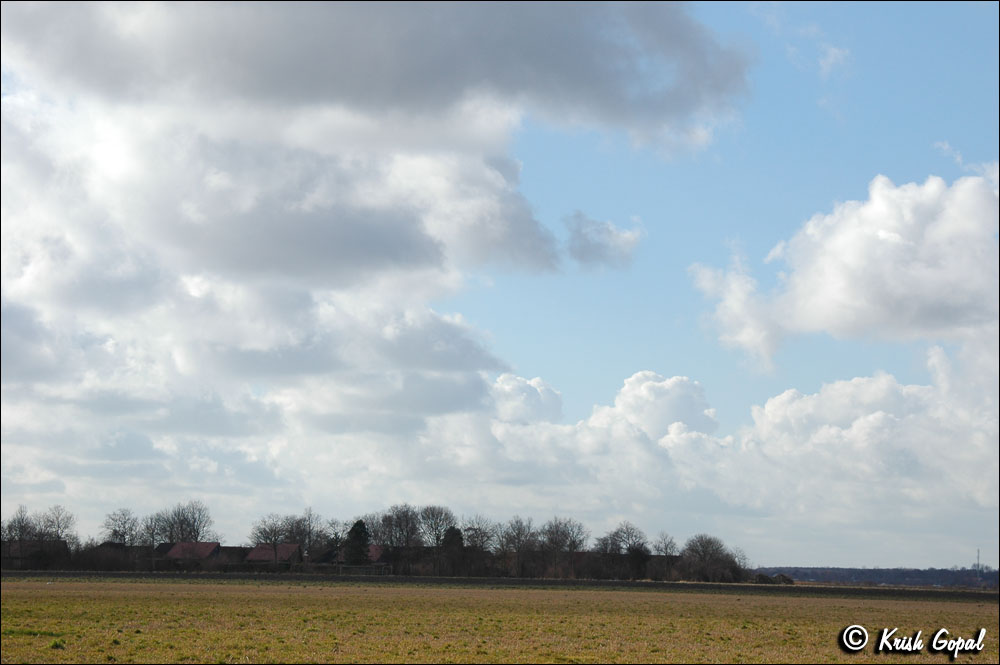 DSC_1442