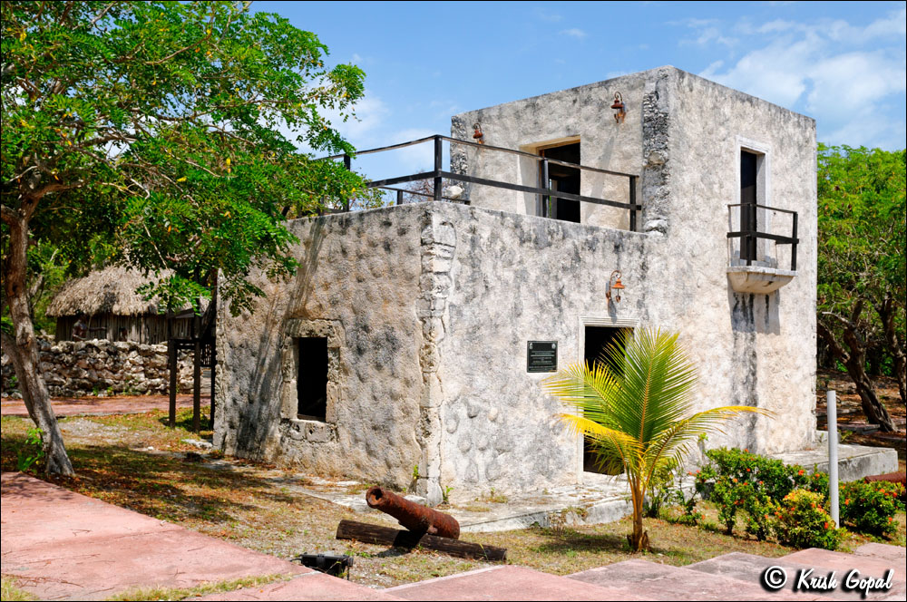 MEX-0124