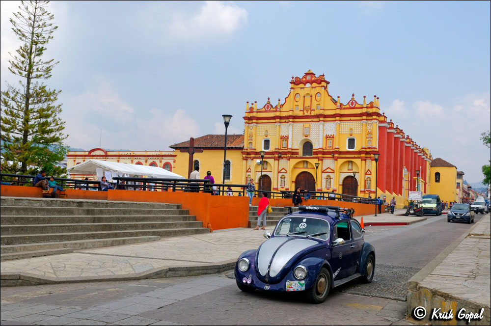 MEX-1004