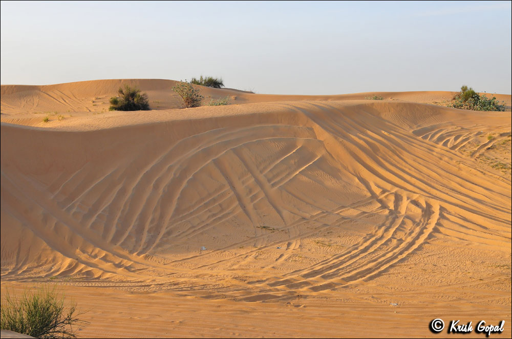 UAE_0510