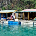 DSC_9363.JPG